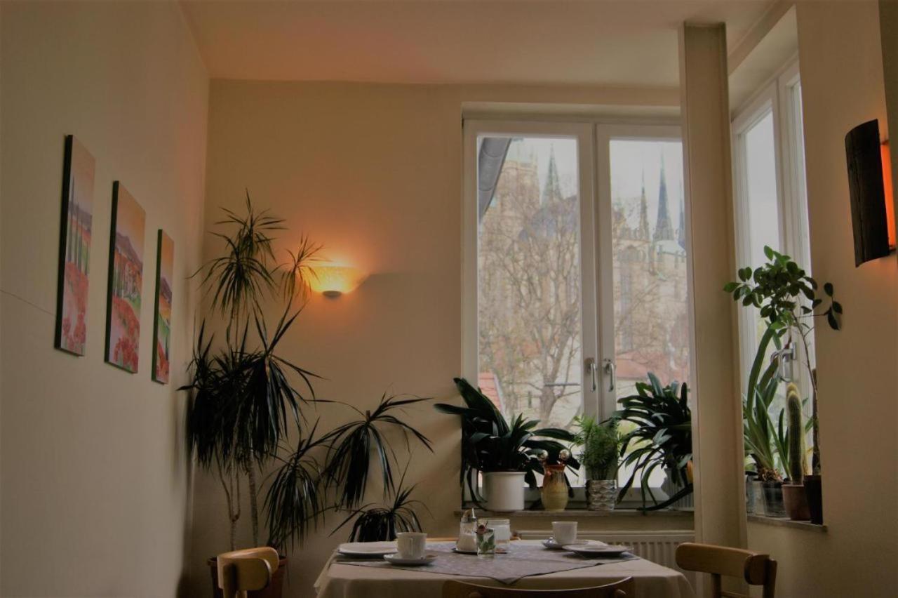 Hotelpension Am Dom Erfurt Bagian luar foto